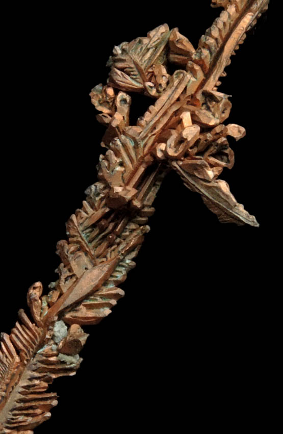 Copper (naturally crystallized native copper Spinel Law twins) from Itauz Mine, Karaganda Oblast', Kazakhstan