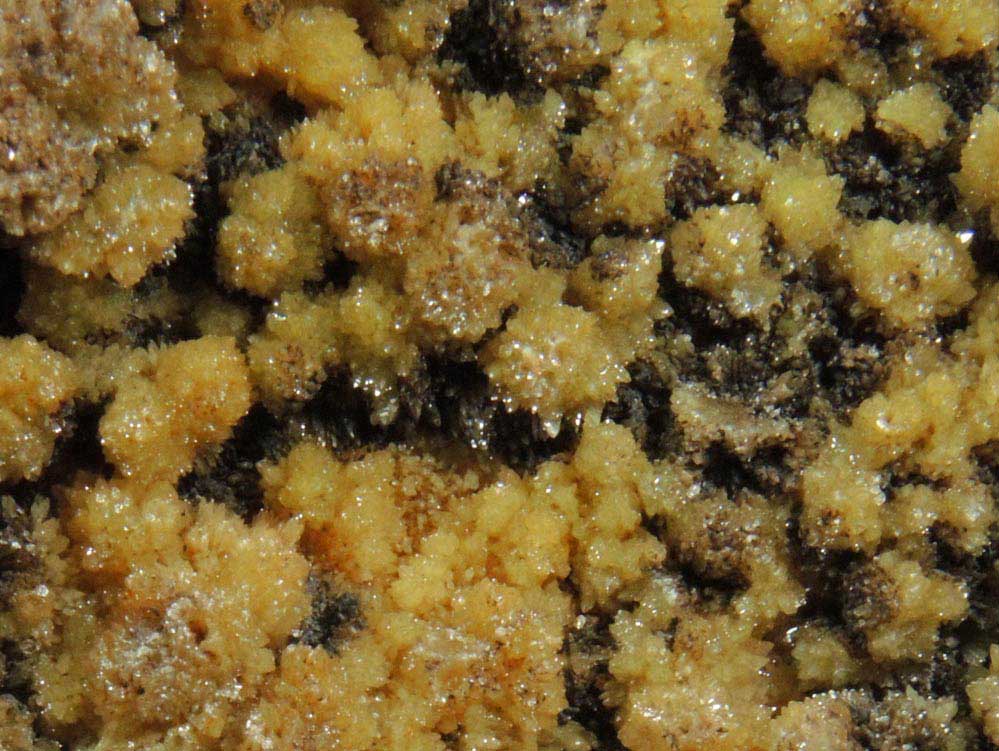 Mimetite from Santa Eulalia District, Aquiles Serdn, Chihuahua, Mexico