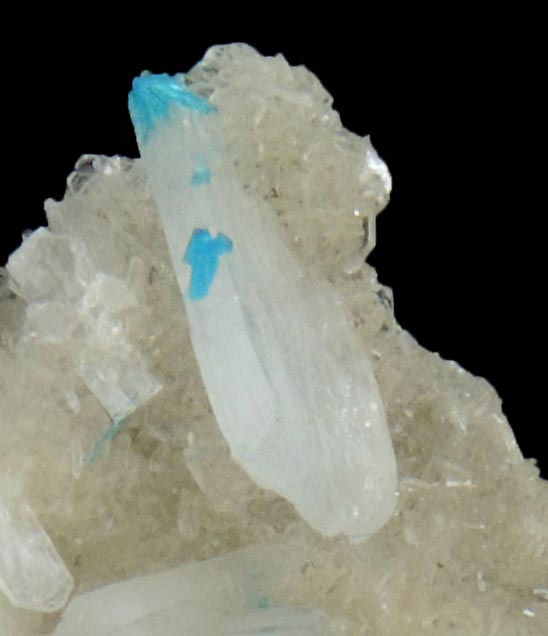 Cavansite on Stilbite from Wagholi Quarry, Maharashtra, India