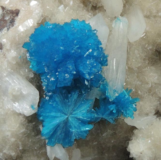 Cavansite on Stilbite from Wagholi Quarry, Maharashtra, India