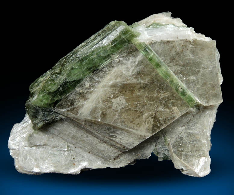 Elbaite Tourmaline in Muscovite from Strickland Quarry, Collins Hill, Portland, Middlesex County, Connecticut