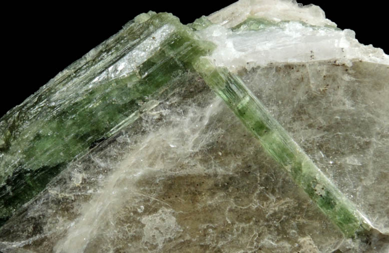 Elbaite Tourmaline in Muscovite from Strickland Quarry, Collins Hill, Portland, Middlesex County, Connecticut