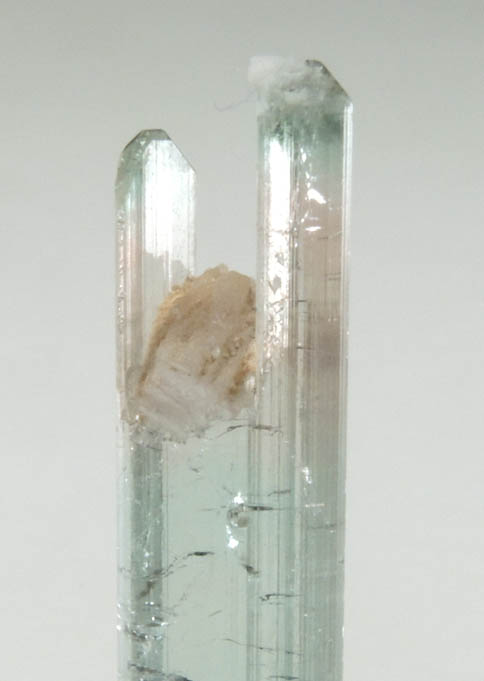 Elbaite Tourmaline with Lepidolite (interrupted growth) from Minas Gerais, Brazil