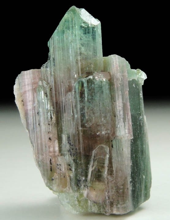 Elbaite Tourmaline from Pederneira Mine, Sao Jos da Safira, Minas Gerais, Brazil