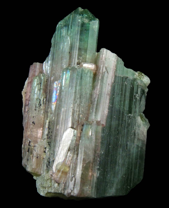 Elbaite Tourmaline from Pederneira Mine, Sao Jos da Safira, Minas Gerais, Brazil