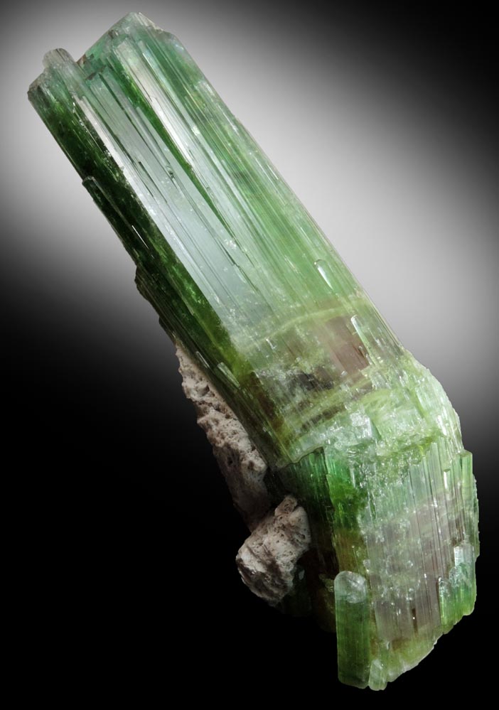 Elbaite Tourmaline (rare curved crystal) from Paprok, Kamdesh District, Nuristan Province, Afghanistan