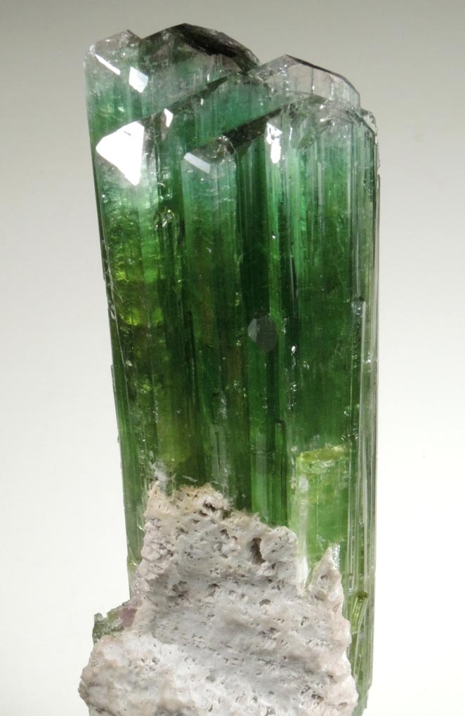 Elbaite Tourmaline (rare curved crystal) from Paprok, Kamdesh District, Nuristan Province, Afghanistan