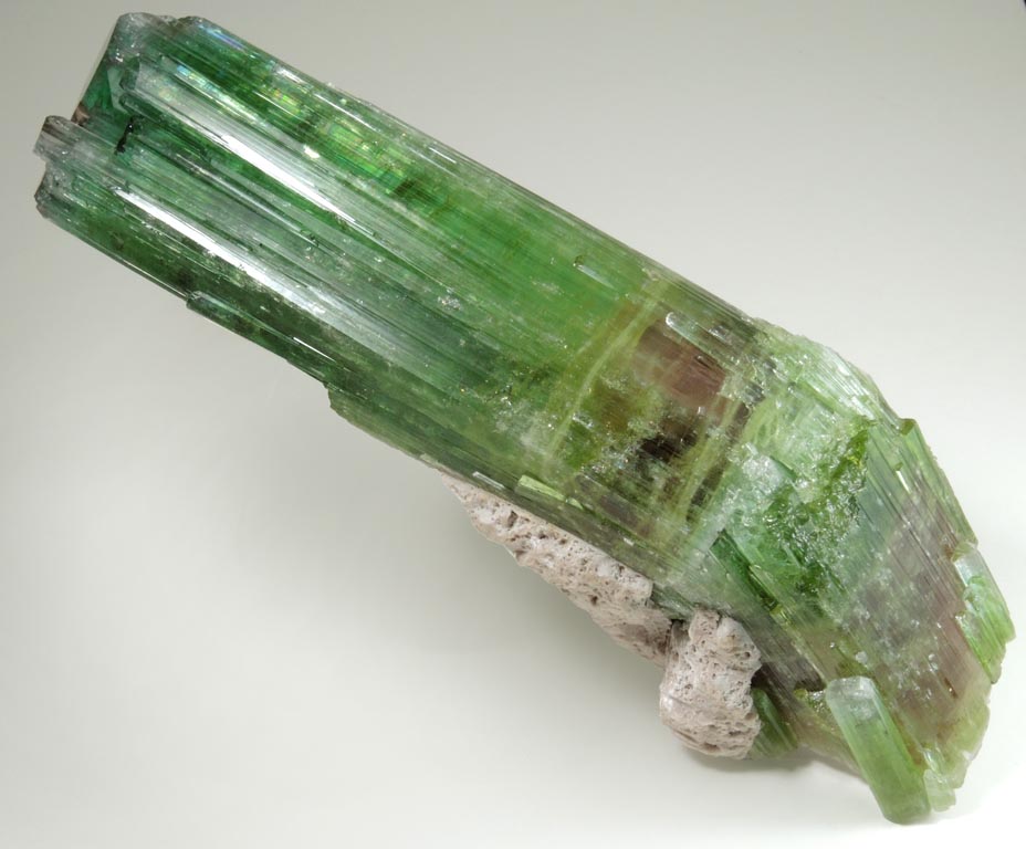 Elbaite Tourmaline (rare curved crystal) from Paprok, Kamdesh District, Nuristan Province, Afghanistan