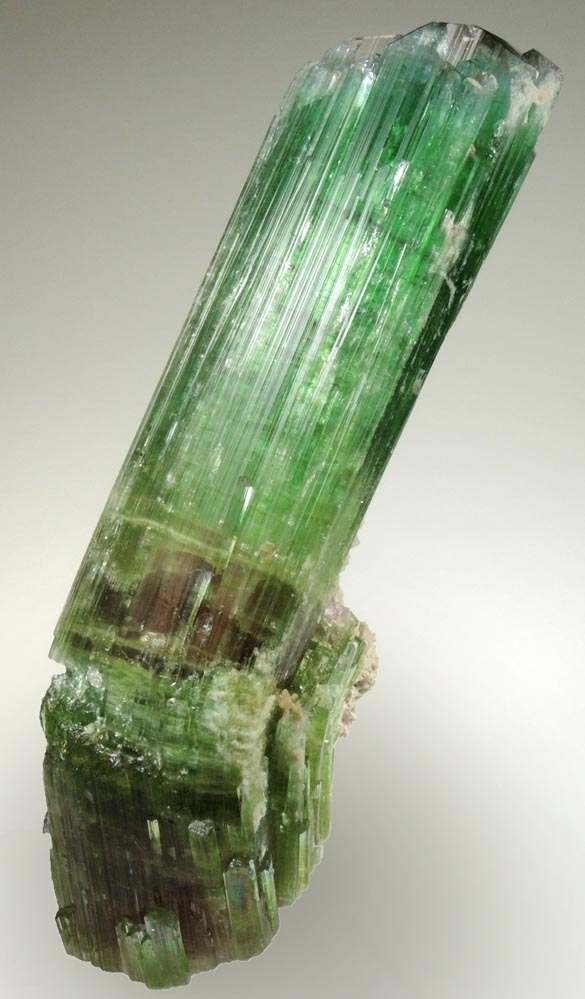 Elbaite Tourmaline (rare curved crystal) from Paprok, Kamdesh District, Nuristan Province, Afghanistan