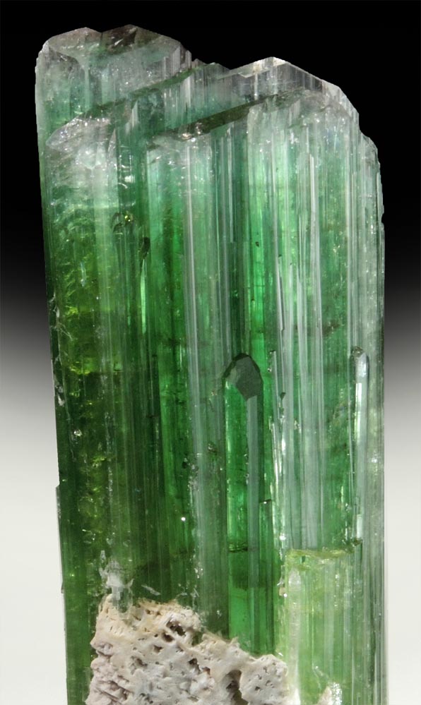 Elbaite Tourmaline (rare curved crystal) from Paprok, Kamdesh District, Nuristan Province, Afghanistan
