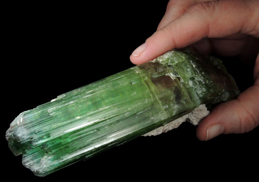 Elbaite Tourmaline (rare curved crystal) from Paprok, Kamdesh District, Nuristan Province, Afghanistan