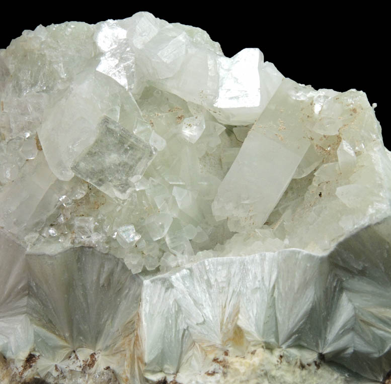 Apophyllite on Pectolite from Millington Quarry, State Pit, Bernards Township, Somerset County, New Jersey