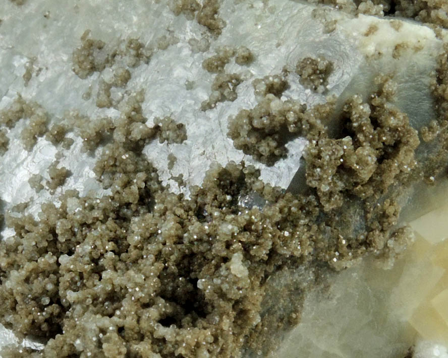 Calcite with Analcime from Gopher Valley Quarry, 16 km southwest of McMinnville, Yamhill County, Oregon