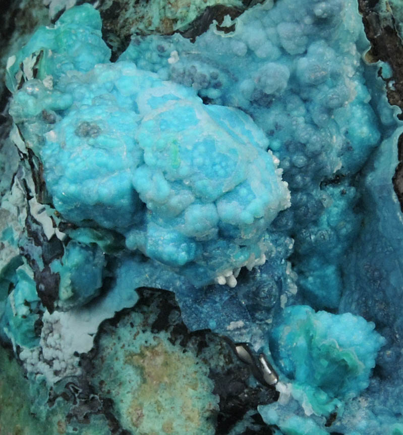 Chrysocolla pseudomorphs after Cumengite and Boleite from Boleo District, near Santa Rosala, Baja California Sur, Mexico (Type Locality for Cumengite and Boleite)