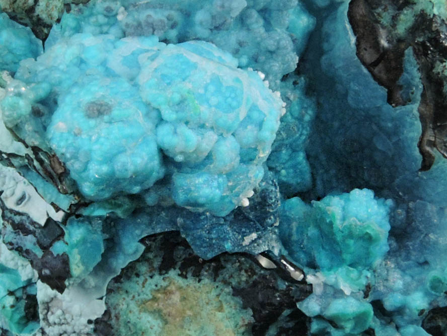 Chrysocolla pseudomorphs after Cumengite and Boleite from Boleo District, near Santa Rosala, Baja California Sur, Mexico (Type Locality for Cumengite and Boleite)