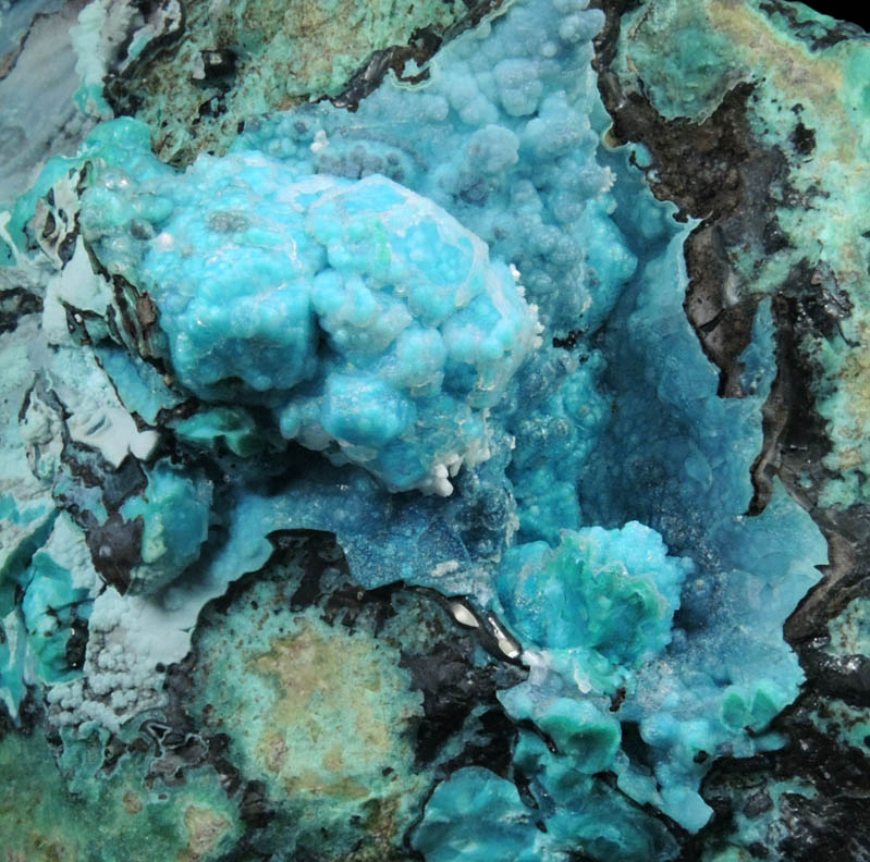 Chrysocolla pseudomorphs after Cumengite and Boleite from Boleo District, near Santa Rosala, Baja California Sur, Mexico (Type Locality for Cumengite and Boleite)