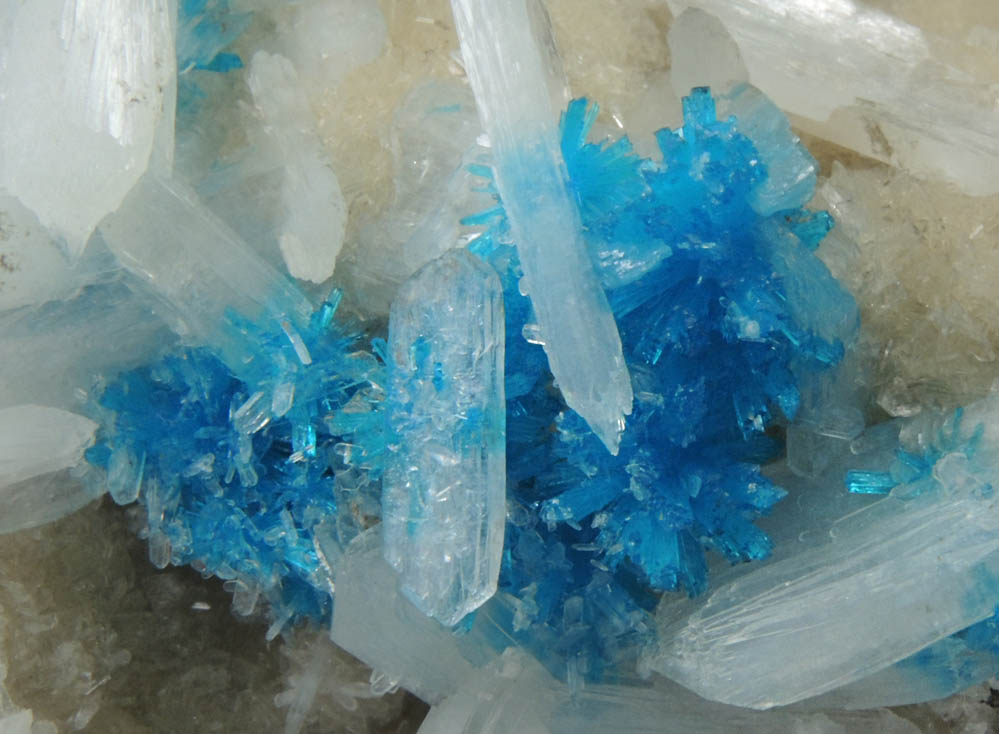 Cavansite on Stilbite from Wagholi Quarry, Maharashtra, India