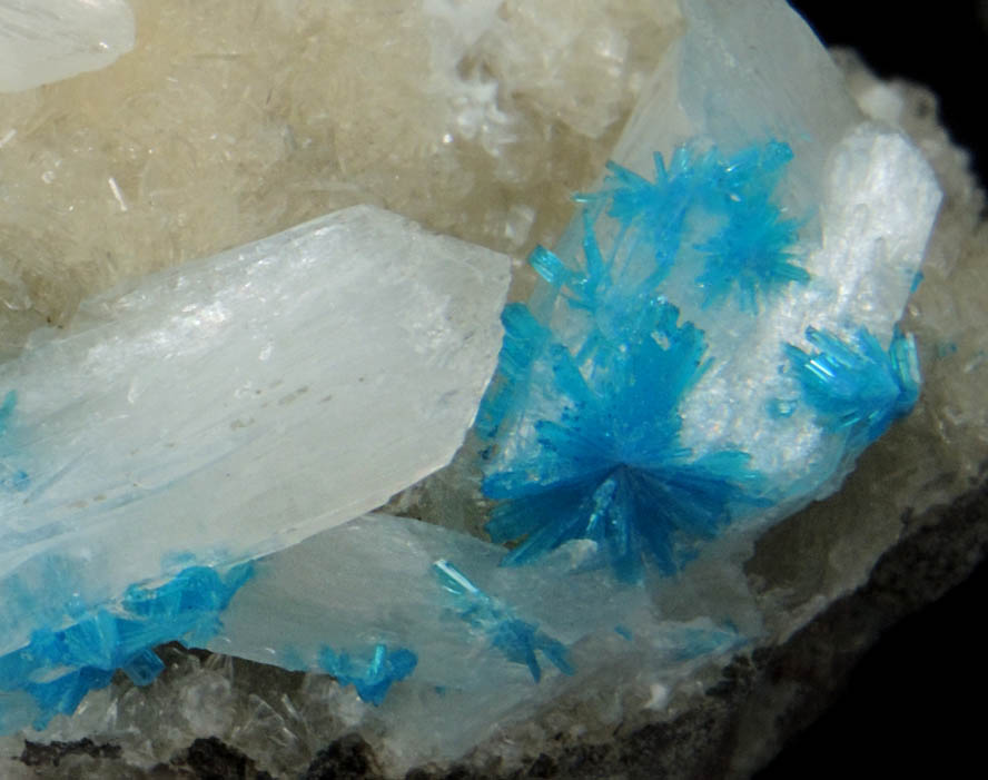 Cavansite on Stilbite from Wagholi Quarry, Maharashtra, India