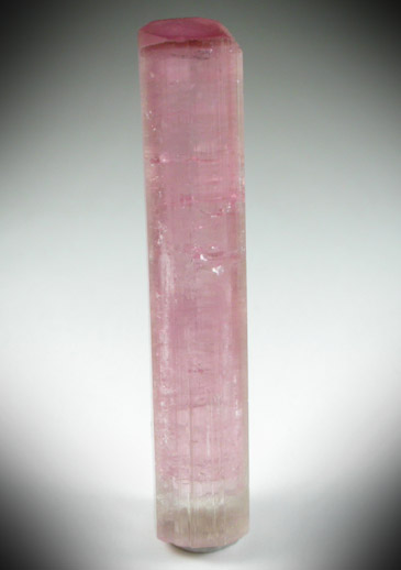 Elbaite var. Rubellite Tourmaline from Himalaya Mine, Mesa Grande District, San Diego County, California