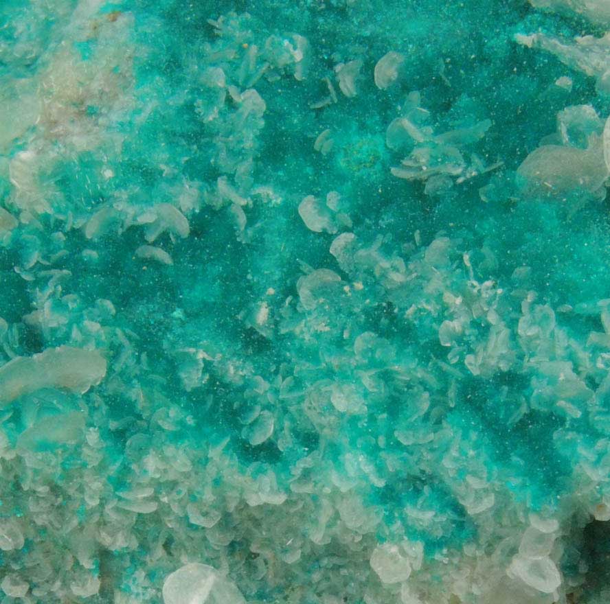 Dioptase with scepter-shaped Calcite from Christmas Mine, Banner District, Gila County, Arizona