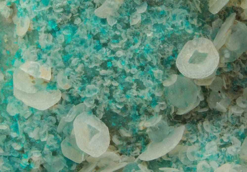 Dioptase with scepter-shaped Calcite from Christmas Mine, Banner District, Gila County, Arizona