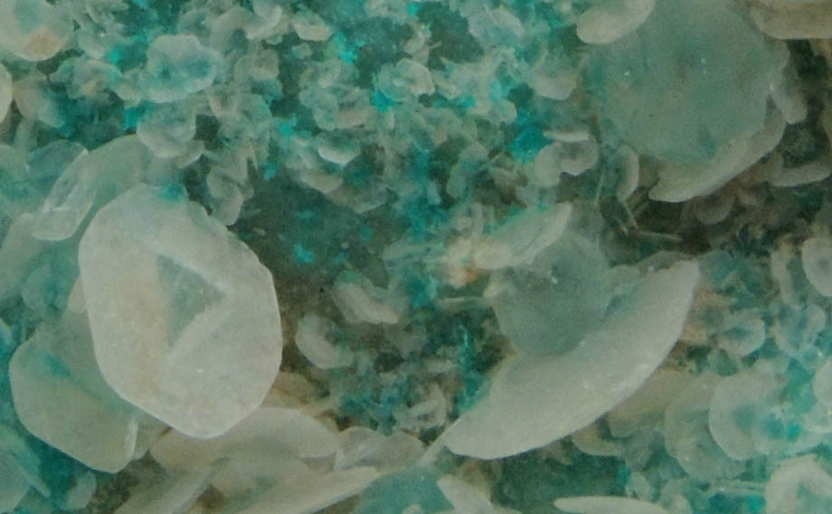 Dioptase with scepter-shaped Calcite from Christmas Mine, Banner District, Gila County, Arizona