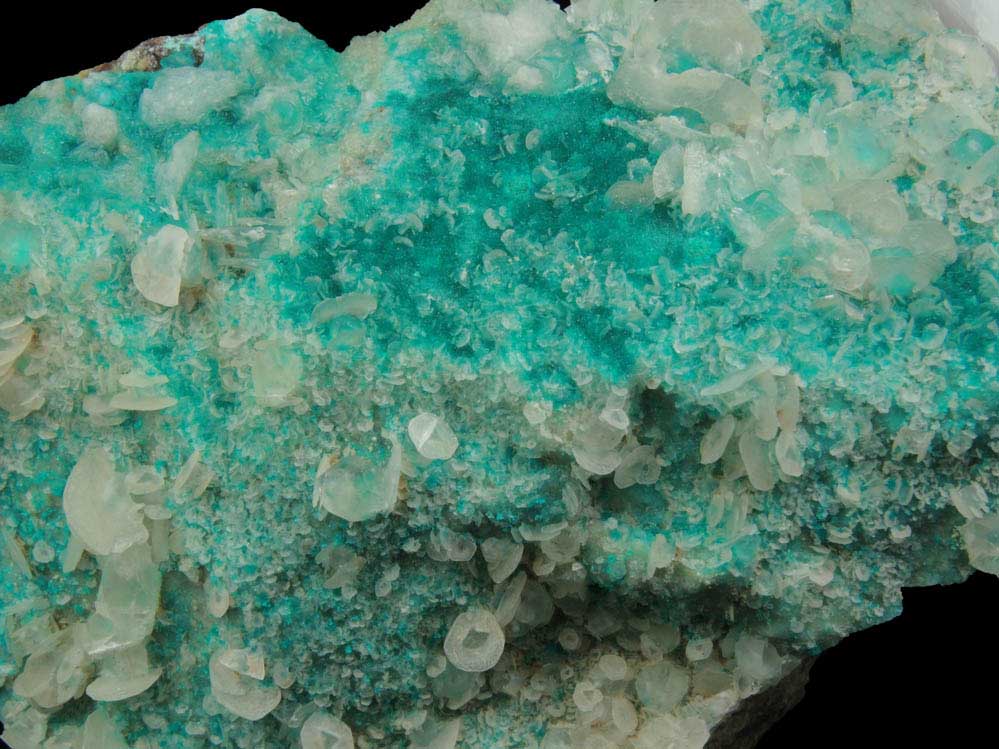 Dioptase with scepter-shaped Calcite from Christmas Mine, Banner District, Gila County, Arizona