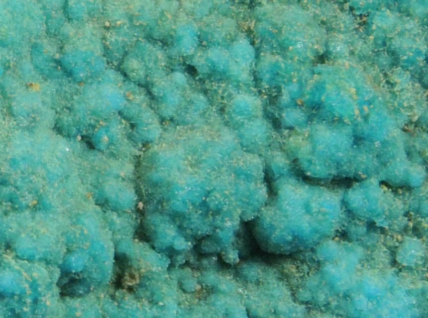 Chalcanthite from Posey Mine, San Juan County, Utah