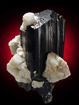 Schorl Tourmaline from Gem Queen Claim, Whitehall, Montana