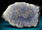 Opalized Fluorite var. Tiffany Stone (2 of 3 from same nodule) from Brush Wellman Mine, Spor Mountain, Thomas Range, Juab County, Utah