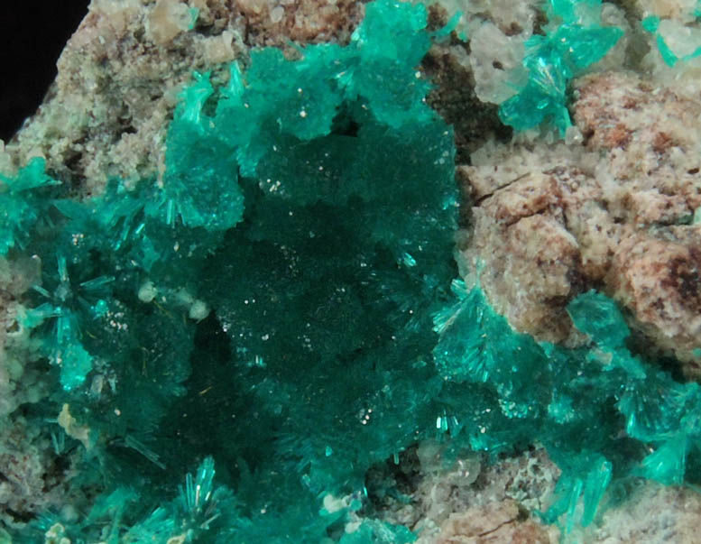 Dioptase with minor Calcite from Christmas Mine, Banner District, Gila County, Arizona