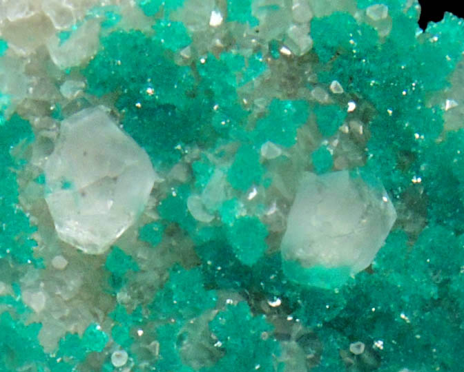 Dioptase on Calcite from Christmas Mine, Banner District, Gila County, Arizona