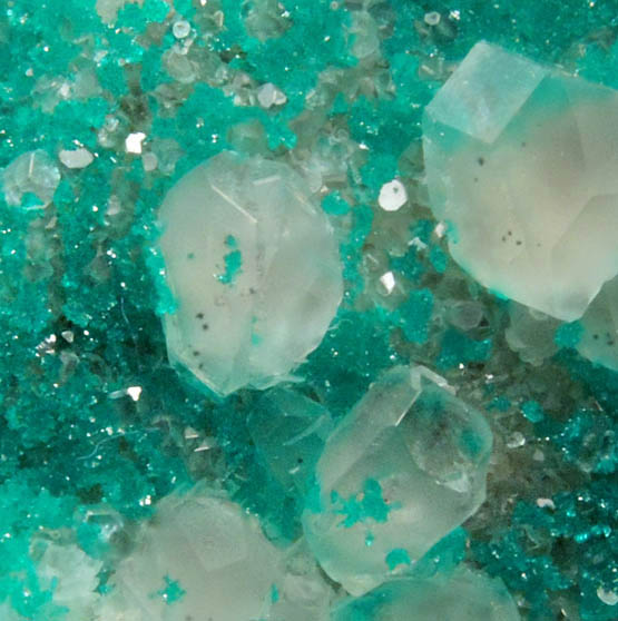 Dioptase on Calcite from Christmas Mine, Banner District, Gila County, Arizona