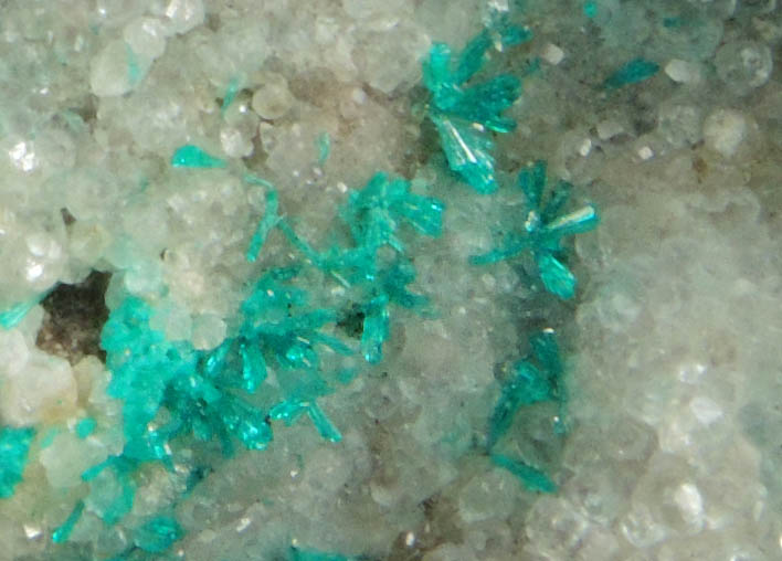 Dioptase on Calcite from Christmas Mine, Banner District, Gila County, Arizona