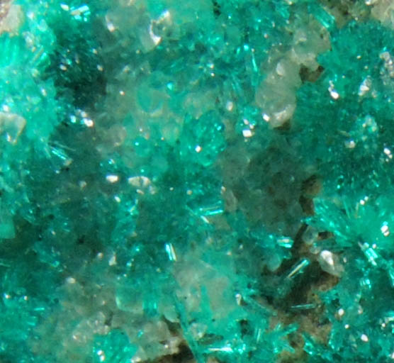 Dioptase on Calcite from Christmas Mine, Banner District, Gila County, Arizona