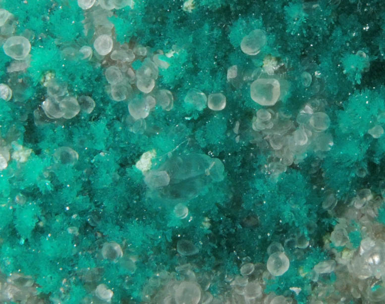 Dioptase with scepter-shaped Calcite from Christmas Mine, Banner District, Gila County, Arizona