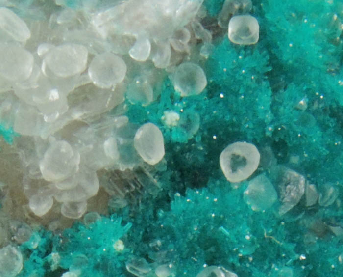 Dioptase with scepter-shaped Calcite from Christmas Mine, Banner District, Gila County, Arizona