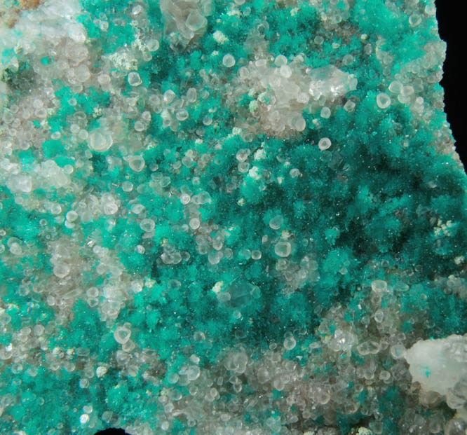 Dioptase with scepter-shaped Calcite from Christmas Mine, Banner District, Gila County, Arizona