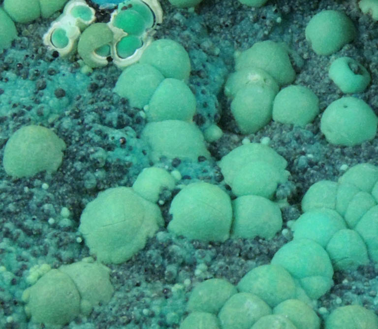 Chrysocolla from Ray Mine, Mineral Creek District, Pinal County, Arizona