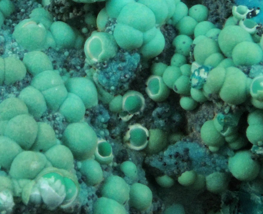 Chrysocolla from Ray Mine, Mineral Creek District, Pinal County, Arizona