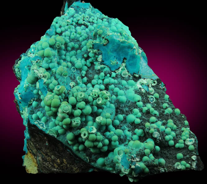 Chrysocolla from Ray Mine, Mineral Creek District, Pinal County, Arizona