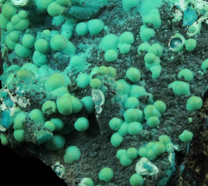 Chrysocolla from Ray Mine, Mineral Creek District, Pinal County, Arizona