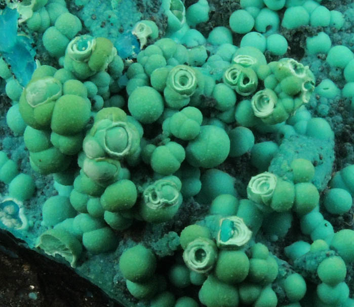 Chrysocolla from Ray Mine, Mineral Creek District, Pinal County, Arizona