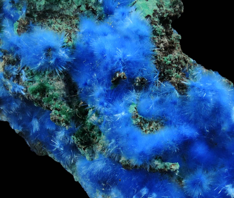 Cyanotrichite and Malachite from Maid of Sunshine Mine, Courtland-Gleeson District, Cochise County, Arizona