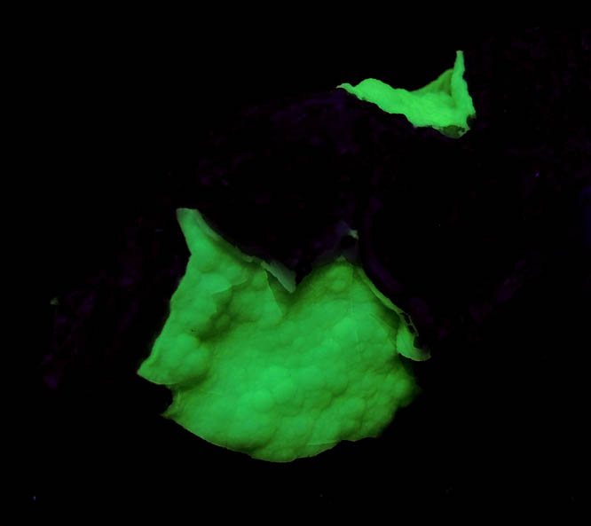 Photo below under shortwave ultraviolet illumination of Chrysocolla with Quartz coating from Inspiration Mine, Globe-Miami District, Gila County, Arizona Chrysocolla with Quartz coating from Inspiration Mine, Globe-Miami District, Gila County, Arizona