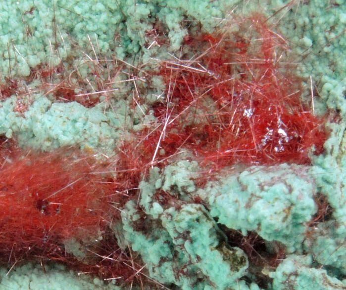 Cuprite var. Chalcotrichite on Chrysocolla from Ray Mine, Mineral Creek District, Pinal County, Arizona