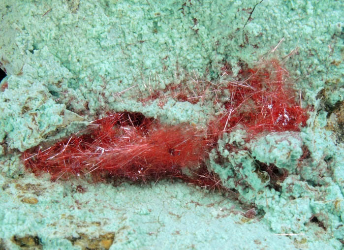 Cuprite var. Chalcotrichite on Chrysocolla from Ray Mine, Mineral Creek District, Pinal County, Arizona