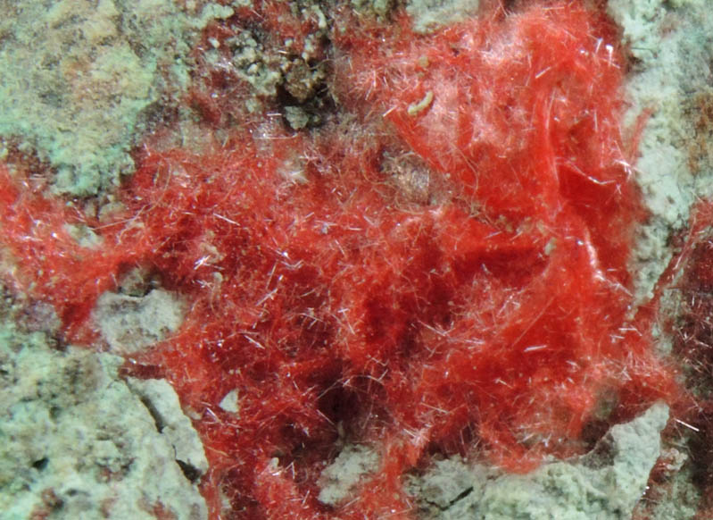 Cuprite var. Chalcotrichite on Chrysocolla from Ray Mine, Mineral Creek District, Pinal County, Arizona