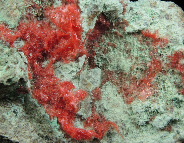 Cuprite var. Chalcotrichite on Chrysocolla from Ray Mine, Mineral Creek District, Pinal County, Arizona