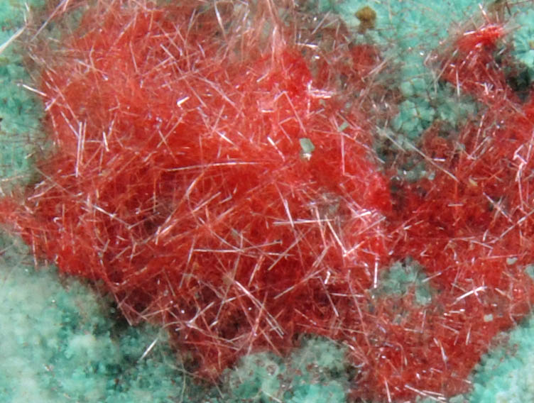 Cuprite var. Chalcotrichite on Chrysocolla from Ray Mine, Mineral Creek District, Pinal County, Arizona